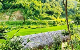 Pu Luong Homestay & Tours