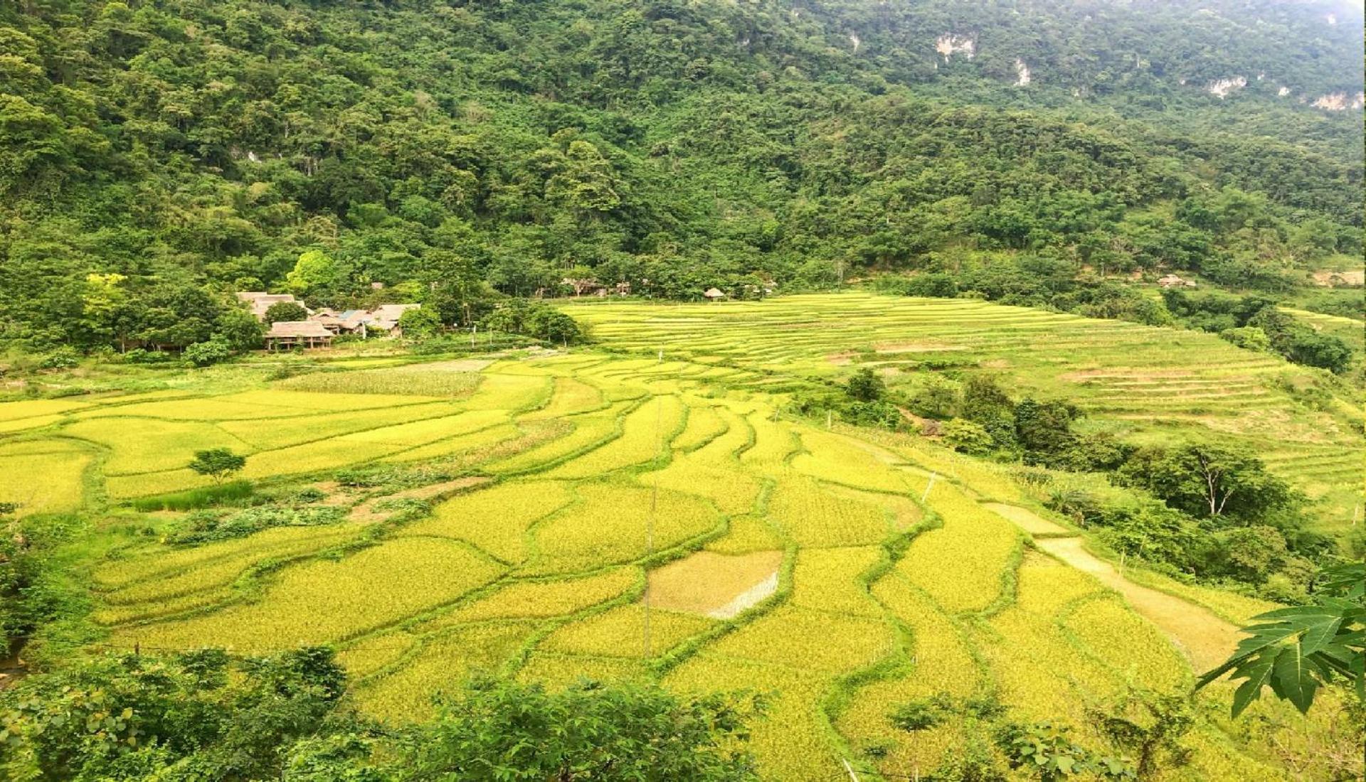 Pu Luong Homestay & Tours Huong Ba Thuoc Exterior foto